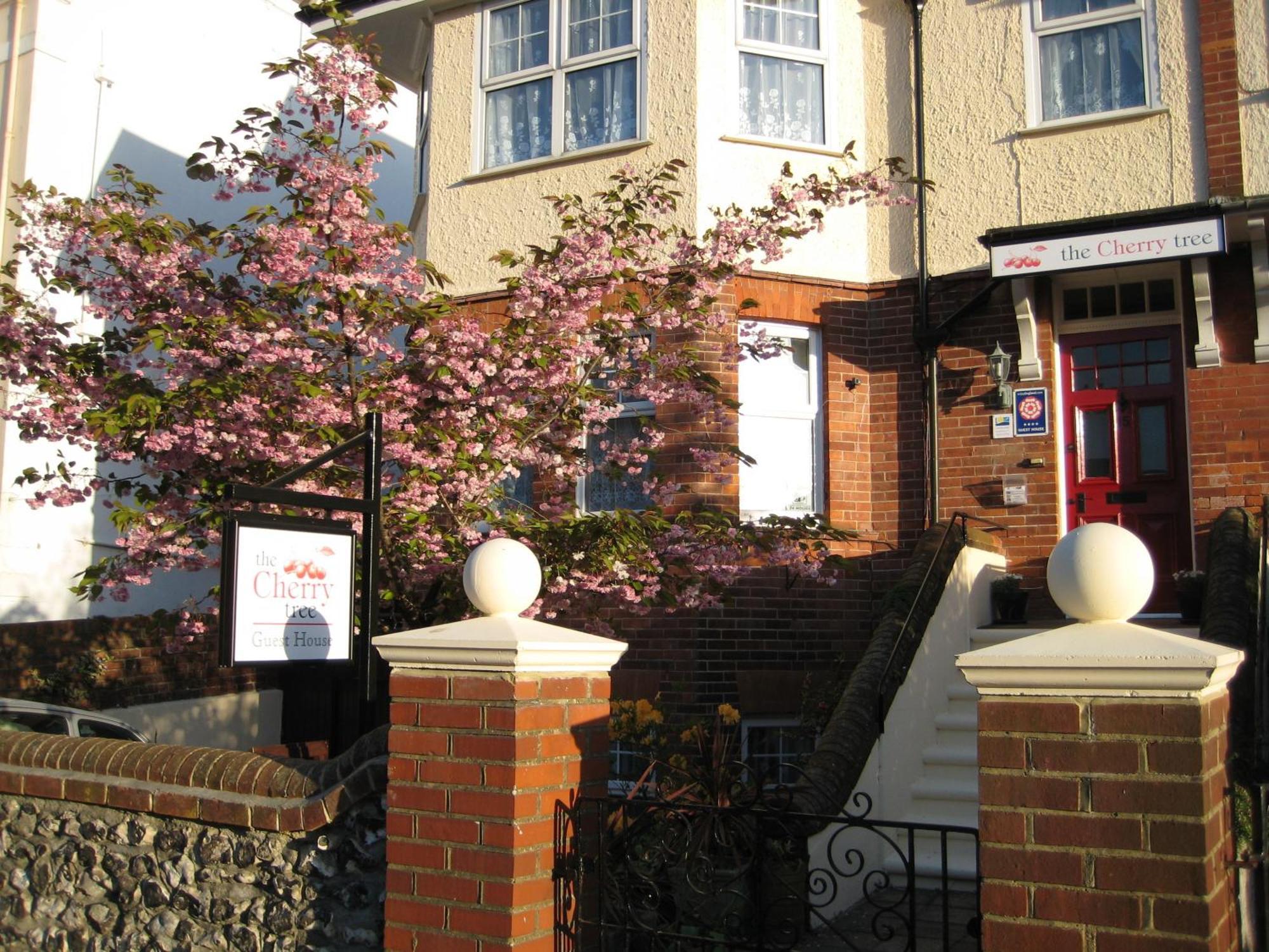 The Cherry Tree Guest House 이스트본 외부 사진