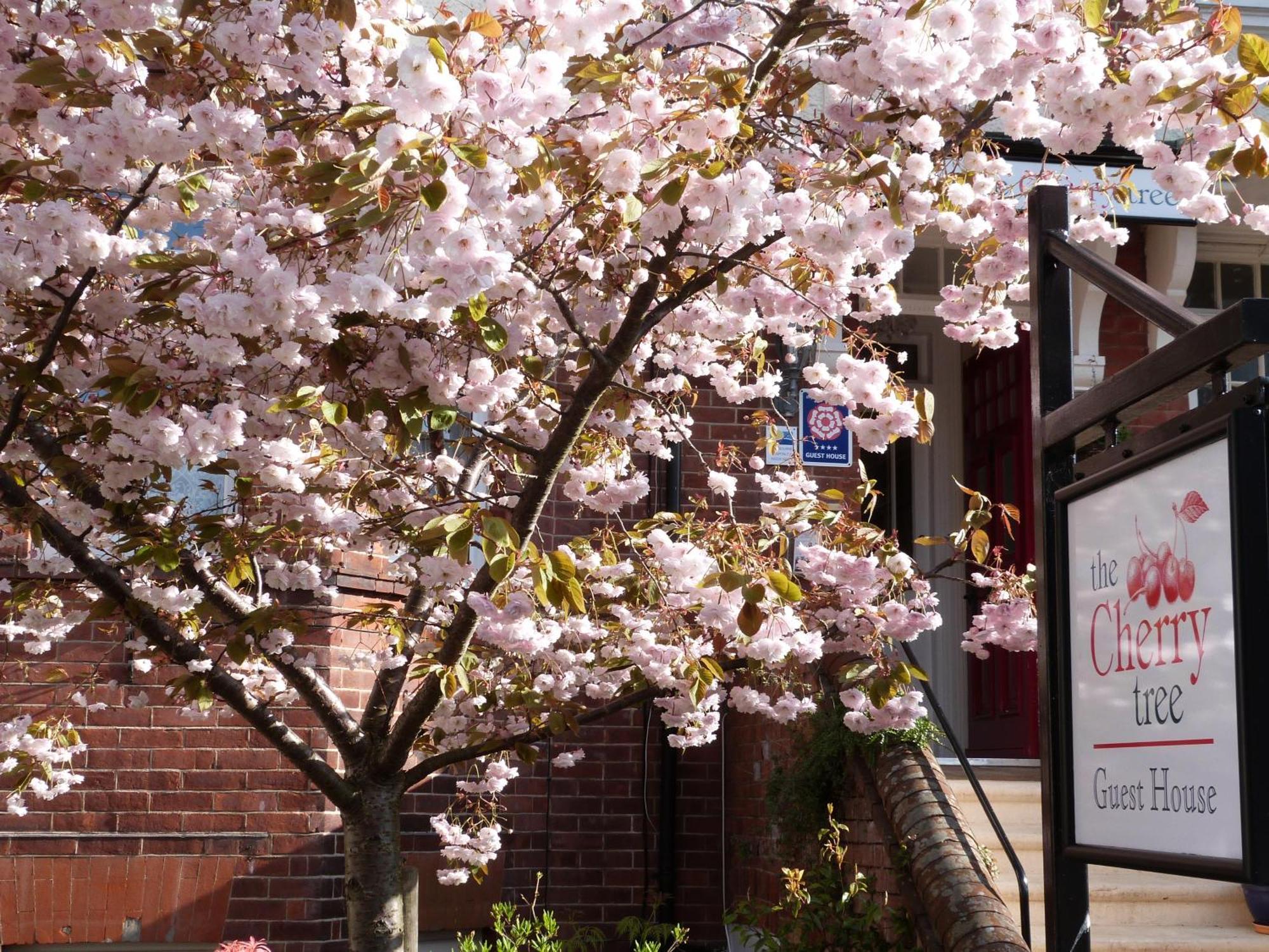 The Cherry Tree Guest House 이스트본 외부 사진